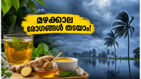 ഒഡീഷ, കർണാടക മഴ മുന്നറിയിപ്പ്: മഴക്കാല രോഗങ്ങളെ അകറ്റി നിർത്താൻ വീട്ടിലുണ്ട് ചില വഴികൾ!