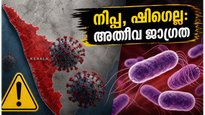 നിപ്പയും ഷിഗെല്ലയും: ഗർഭിണികളും പിസിഒഎസ് ഉള്ളവരും ഈ കാര്യങ്ങളിൽ അതീവ ജാഗ്രത പുലർത്തണം