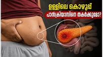 പുറമെ മെലിഞ്ഞാലും ഉള്ളിൽ കൊഴുപ്പ്; പാൻക്രിയാസിനെ തകർക്കുന്ന ആ 'സൈലന്റ്' വില്ലൻ ഇതാണ്!