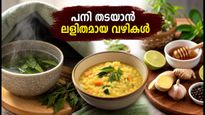 ബംഗളൂരുവിൽ പനി വ്യാപകം; വീട്ടിൽ തന്നെ പരീക്ഷിക്കാവുന്ന ഫലപ്രദമായ പ്രതിരോധ മാർഗ്ഗങ്ങൾ ഇതാ!