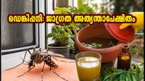 ഹൈദരാബാദിൽ ഡെങ്കിപ്പനി ജാഗ്രത: കൊതുകുകളെ തുരത്താനും സുരക്ഷിതരാകാനും ഈ മുൻകരുതലുകൾ മതി