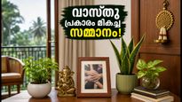 ഫ്രണ്ട്ഷിപ്പ് ഡേ: സുഹൃത്തിന്റെ വീട്ടിൽ ഐശ്വര്യം നിറയ്ക്കാൻ ഈ വാസ്തു സമ്മാനങ്ങൾ നൽകൂ!
