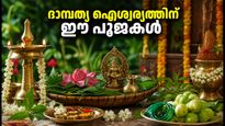 ഹരിയാലി തീജ് 2026: ദാമ്പത്യ ഐശ്വര്യത്തിന് ഈ വ്രതാനുഷ്ഠാനങ്ങൾ, രാശിപ്രകാരം ചെയ്യേണ്ട പ്രത്യേക പൂജകൾ