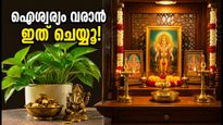 കാമിക ഏകാദശി: വീട്ടിൽ ഈ വാസ്തു മാറ്റങ്ങൾ വരുത്തിയാൽ ഐശ്വര്യം തേടിയെത്തും!