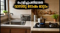 Kitchen Vastu Tips Fix Sink Stove Proximity Without Renovation Rented Homes 011