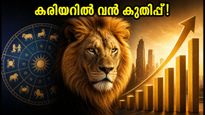 Sun Transit To Leo 2026 Career Growth Auspicious Timings 011