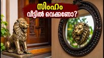 വീടിന്റെ മുൻവാതിലിൽ സിംഹപ്രതിമയും കണ്ണാടിയും വെക്കുമ്പോൾ ഈ തെറ്റുകൾ വരുത്തരുത്, ഐശ്വര്യം നഷ്ടപ്പെടാം!