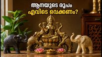 വീട്ടിൽ ആനയുടെ രൂപം വെക്കുമ്പോൾ ഈ തെറ്റുകൾ വരുത്തരുത്; വാസ്തു പറയുന്ന ശരിയായ സ്ഥാനം ഇതാണ്