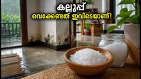 മഴക്കാലത്തെ ദുർഗന്ധവും ഈർപ്പവും മാറ്റണോ? വാസ്തു പ്രകാരം കല്ലുപ്പ് വെക്കേണ്ടത് ഇവിടെയാണ്