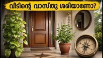 ഇന്ന് വിഷുവദിനം; വീടിന്റെ വാസ്തുവും ദിശകളും കൃത്യമായി പരിശോധിക്കാൻ ഇതാ ഒരു എളുപ്പവഴി