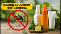 ഡെങ്കിപ്പനി കാലം: കൊതുകു കടിയിൽ നിന്ന് രക്ഷനേടാൻ റെപ്പല്ലന്റുകൾ ഉപയോഗിക്കുമ്പോൾ ഈ തെറ്റുകൾ വരുത്തരുത്