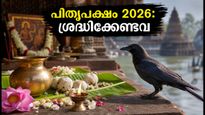 2026 പിതൃപക്ഷം: എപ്പോൾ തുടങ്ങും? ശ്രദ്ധിക്കേണ്ട കാര്യങ്ങളും ഒഴിവാക്കേണ്ടവയും അറിയാം
