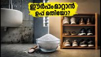 വീട്ടിലെ ഈർപ്പവും ദുർഗന്ധവും മാറ്റാൻ ഉപ്പ് മതിയോ? 'സാൾട്ട് വാസ്തു' പരീക്ഷിക്കുമ്പോൾ ഈ തെറ്റുകൾ വരുത്തരുത്