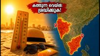 കത്തുന്ന വെയിൽ, ചർമ്മത്തിന് പൊള്ളലേൽക്കാം; ഇന്ന് ഉച്ചയ്ക്ക് പുറത്തിറങ്ങുമ്പോൾ ഈ മുൻകരുതലുകൾ മറക്കരുത്