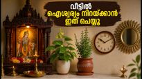 Vastu Tips For Home 2026 Puja Room Tulsi Mirror Placement 011