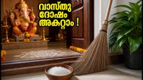 ഗണേശ വിസർജനത്തിന് മുൻപ് വീട് വൃത്തിയാക്കുമ്പോൾ ഈ തെറ്റുകൾ വരുത്തരുത്; വാസ്തു പറയുന്നത് ഇതാണ്