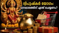 2026 ഒക്ടോബർ 11: നവരാത്രിയിൽ ഇരട്ടി ഫലം നൽകുന്ന അപൂർവ്വ ദ്വിപുഷ്കർ യോഗം; ഈ കാര്യങ്ങൾ ചെയ്താൽ ധനലാഭം ഉറപ്പ്!