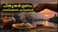 മഹാലയ അമാവാസി 2026: പിതൃതർപ്പണത്തിന് നാളെ; ശ്രദ്ധിക്കേണ്ട ആചാരങ്ങളും സമയക്രമവും ഇതാ