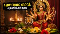 Navratri Day 3 Chandraghanta Devi Puja Rituals Zodiac Colors Mantras 2026 011