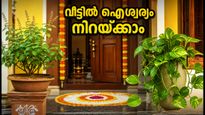 വിജയദശമി നാളിൽ വീട്ടിൽ ഐശ്വര്യം നിറയണോ? ഈ വാസ്തു മാറ്റങ്ങൾ ഇന്ന് തന്നെ പരീക്ഷിക്കൂ