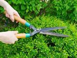 12 Great Garden Care Tips