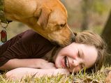 Four Reasons Your Pet Dogs Lick You