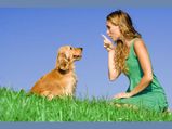 7 Secret Languages Of Pets