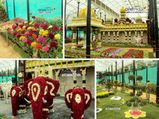 The Astounding Flower Show At Lalbagh Botanical Garden Bang 006392 Pg1.html