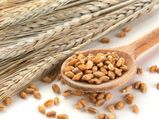 The Importance Whole Grains Our Diet