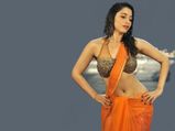 Top Ten Curvaceous Heroines Tamil Cinema