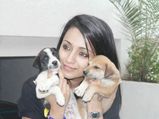 Tricks Get Rid Pet Odour