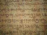 தமிழ் மொழி எப்படி பிறந்தது என்று தெரியுமா?