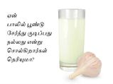 ஏன் பாலில் பூண்டு சேர்த்து குடிக்கச் சொல்கிறார்கள் என்று தெரியுமா?