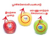 காய்கறி, பழங்களில் ஒட்டப்பட்டிருக்கும் இந்த ஸ்டிக்கர் குறியீடுகள் எதை குறிக்கின்றன?
