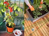 Basic Needs Grow Greenleafy Garden Terrace