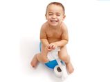 Toilet Training Babies