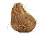 Natural Ways To Find Unground Water Level Especially With Coconut