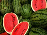How Can We Find Male And Female Watermelon Fruit