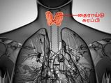 ஹைப்போ தைராய்டு இருக்கா? அதை சரிசெய்வதற்கான சில இயற்கை வழிகள்!