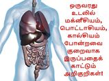 உடலில் மக்னீசியம், பொட்டாசியம், கால்சியம் குறைவாக இருப்பதைக் காட்டும் அறிகுறிகள்!