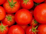 How To Store Tomatoes The Right Way To Increase Their Shelf Life