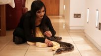 Woman Loves Sleeping With Her 16 Feet Python Pet
