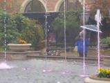 Must Watch Adorable Elderly Couple Dances In The Rain