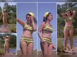 Fashion South Indian Actresses Bikini Then Now