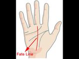 உங்கள் கையில் இந்த விதி ரேகை எப்படி இருக்கிறது? உடைந்திருந்தால் என்ன அர்த்தம்?