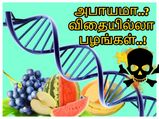 விதைகள் இல்லாத பழங்கள் சாப்பிட்டால் மரண பிடியில் மாட்டி கொள்வீர்கள்..! திடுக்கிடும் தகவல்.!