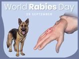 World Rabies Day 2019 If Dog Bites Mind These Seven Things