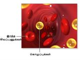 நம் உடலில் கொலஸ்ட்ரால் என்ன செய்கிறது என்று தெரியுமா?