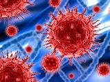 Tips To Protect Child Against The Coronavirus