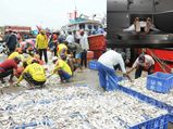 Easy Tricks To Remove Formalin From Food